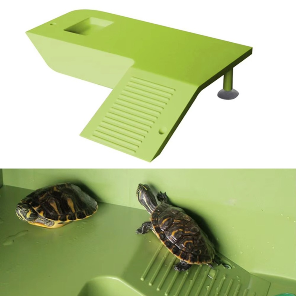 Water Dish Reptile - Water Land Slope Box Feeding Climbing