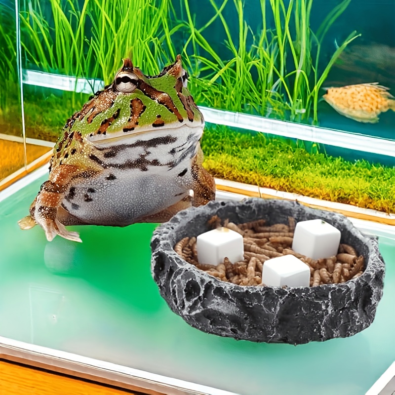 6Pcs For Reptile Grinding Tort - Calcium Powder Reptile avaliação e preço