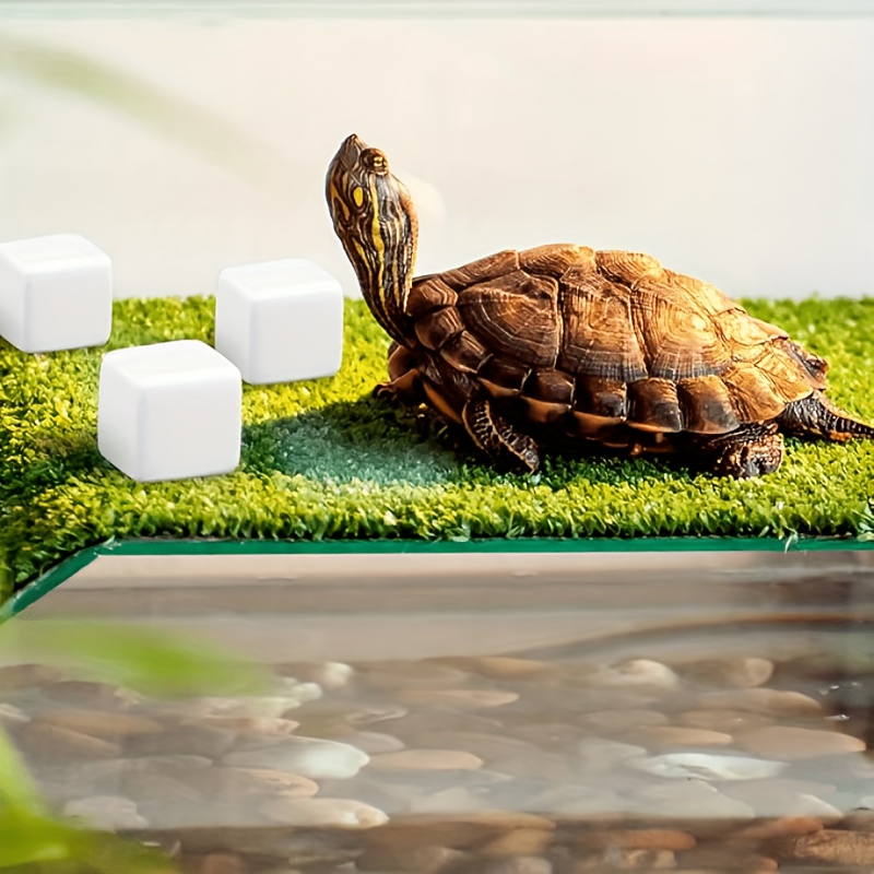 6Pcs For Reptile Grinding Tort - Calcium Powder Reptile avaliação e preço