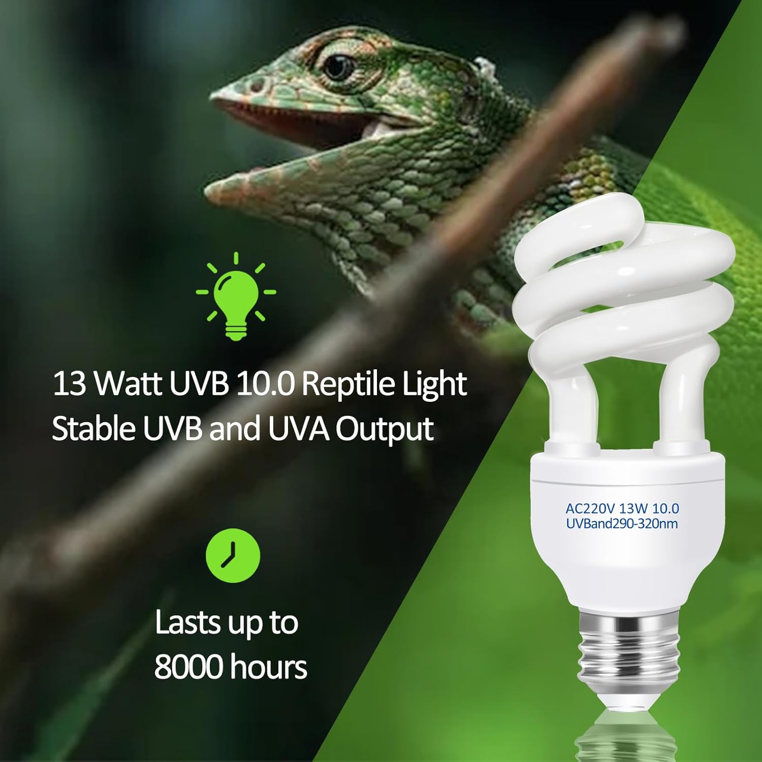 UVB 5.0 10.0 Reptile Heating L - Calcium Powder Reptile avaliação e preço