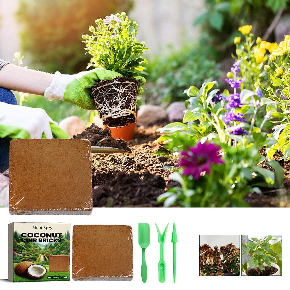 Reptile Coconut Soil Coir Pres - Substrate Coconut Fiber avaliação e preço