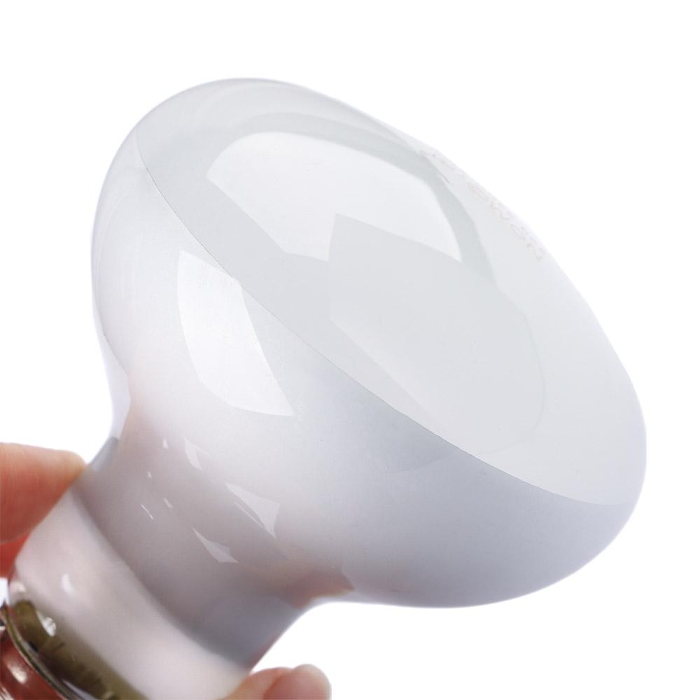 Lizard Heater Temperature Cont - Basking Bulb Halogen avaliação e preço