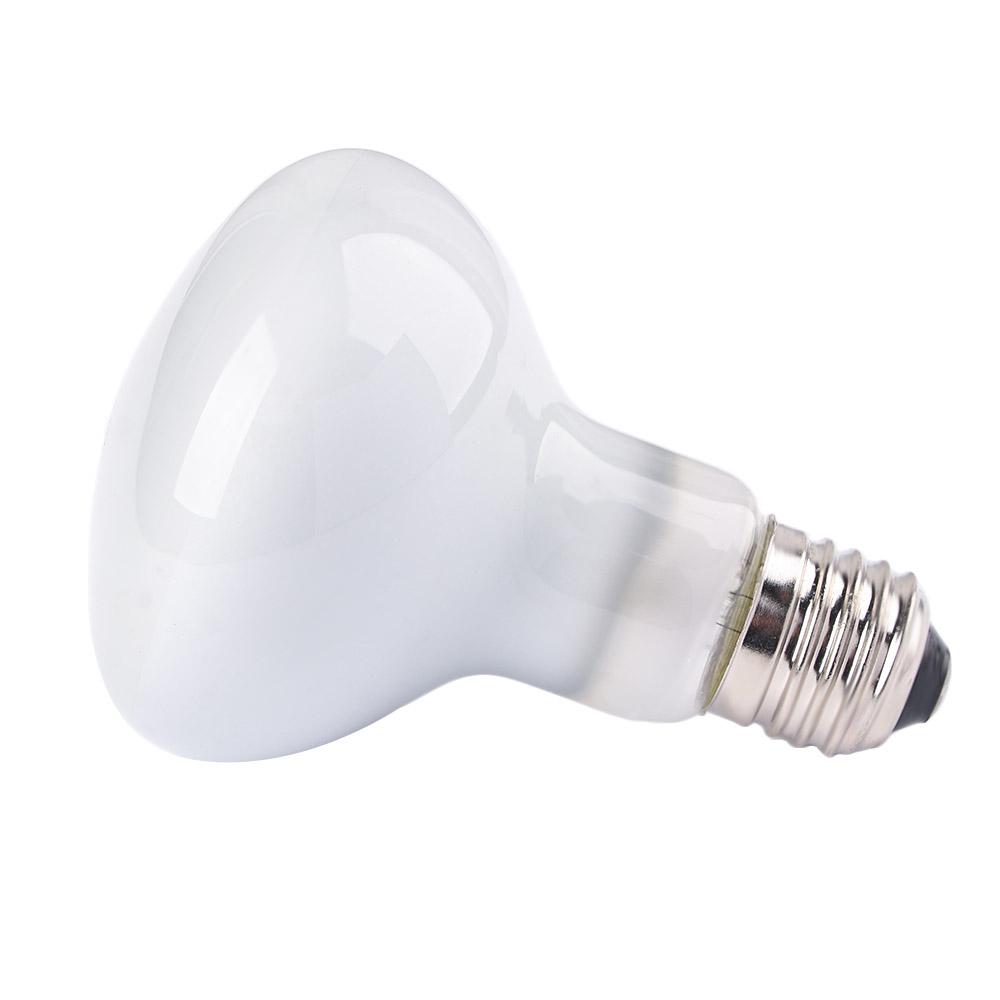 Lizard Temperature Controller  - Basking Bulb Halogen avaliação e preço