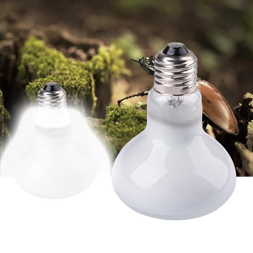 Lizard Temperature Controller  - Basking Bulb Halogen avaliação e preço
