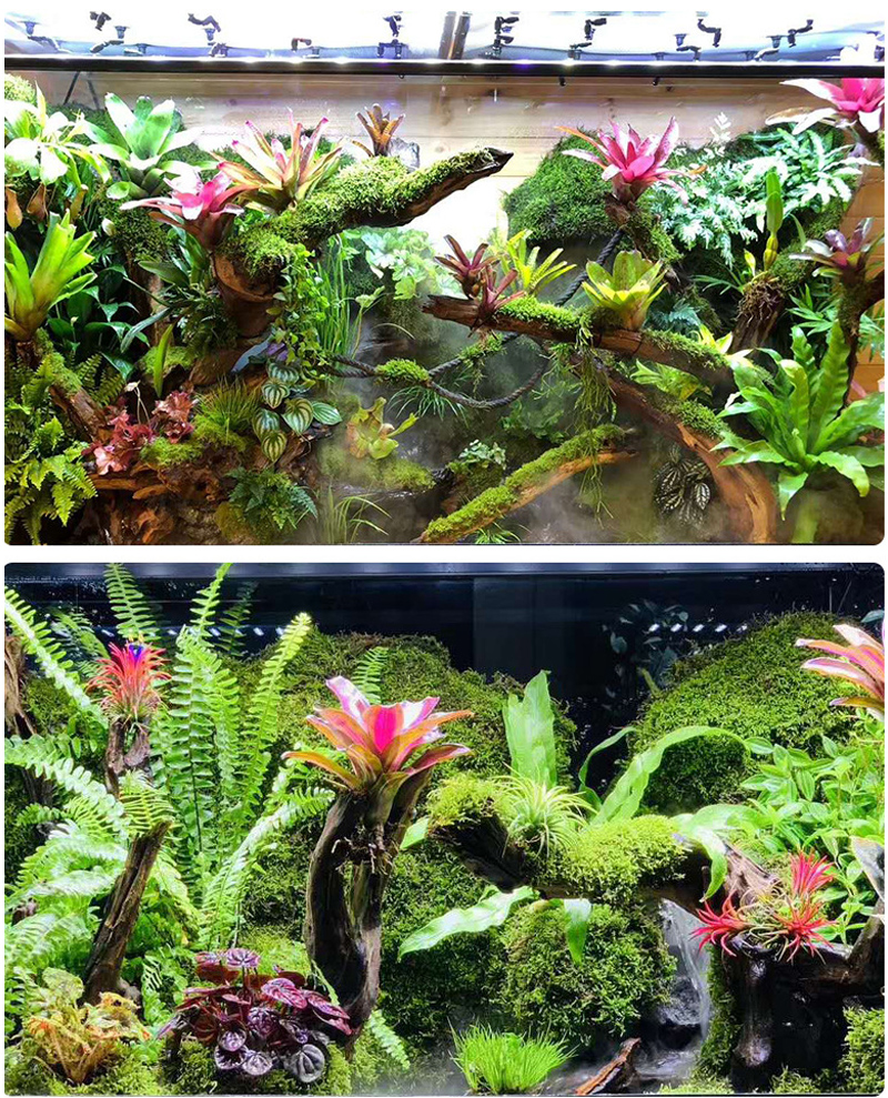 MINI Adjustable Reptile Fogger - Misting Nozzle Reptile avaliação e preço