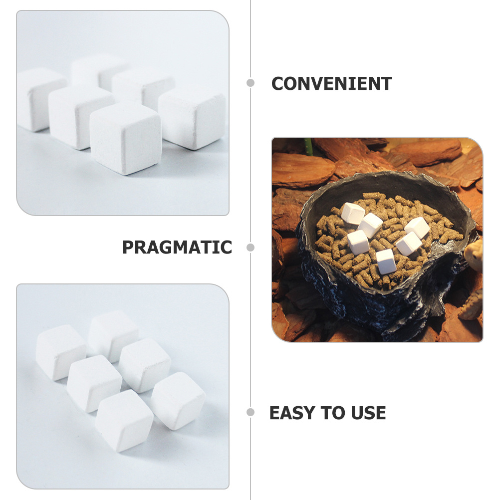 6Pcs Calcium Blocks Natural Mi - Calcium Powder Reptile avaliação e preço