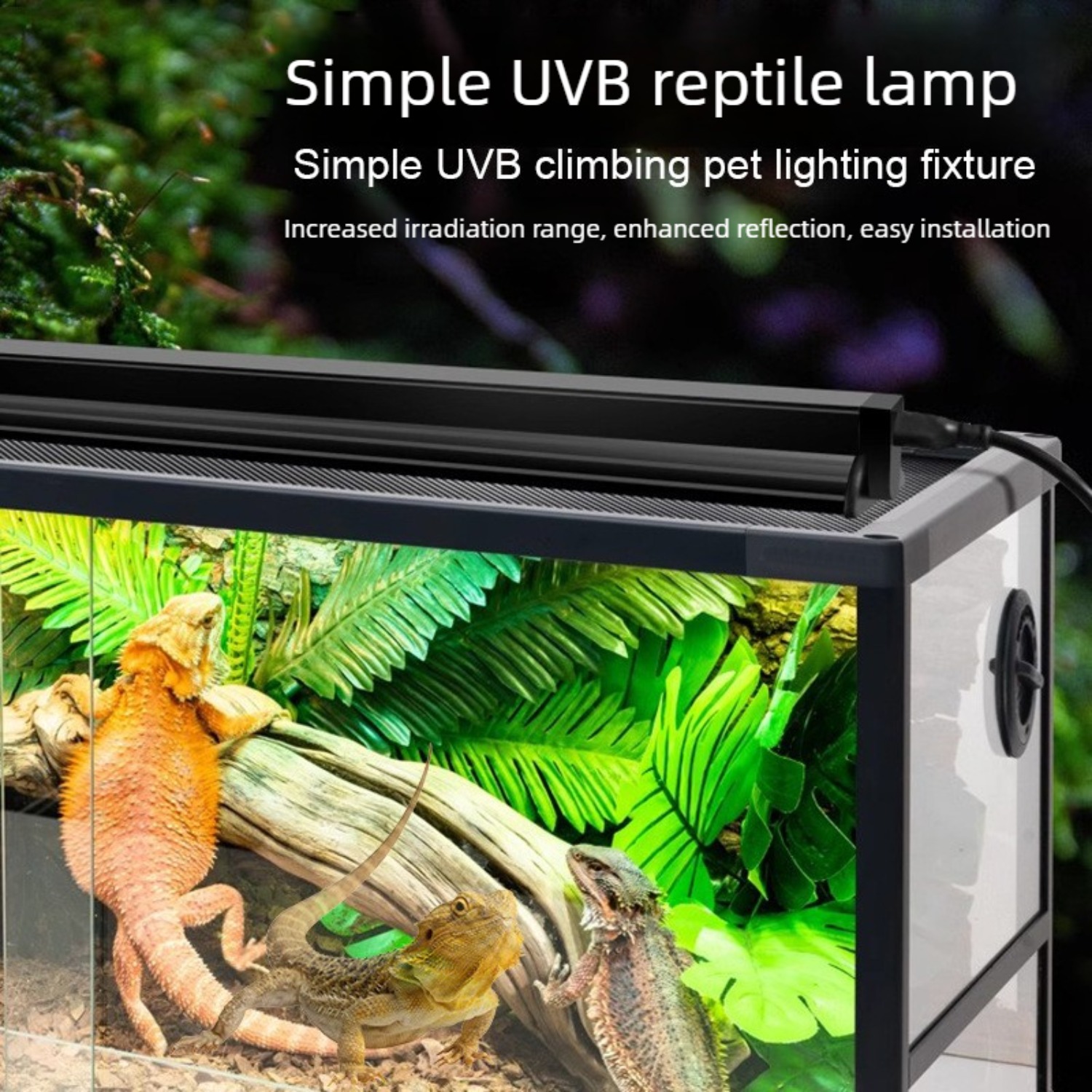 Reptile UVB Lamp Combo Kit UVA - Calcium Powder Reptile avaliação e preço