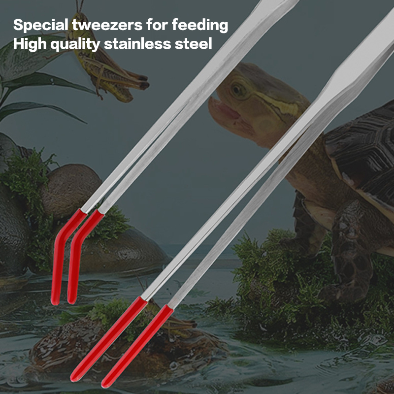 Stainless Steel Reptile Feedin - Feeding Tong Stainless avaliação e preço