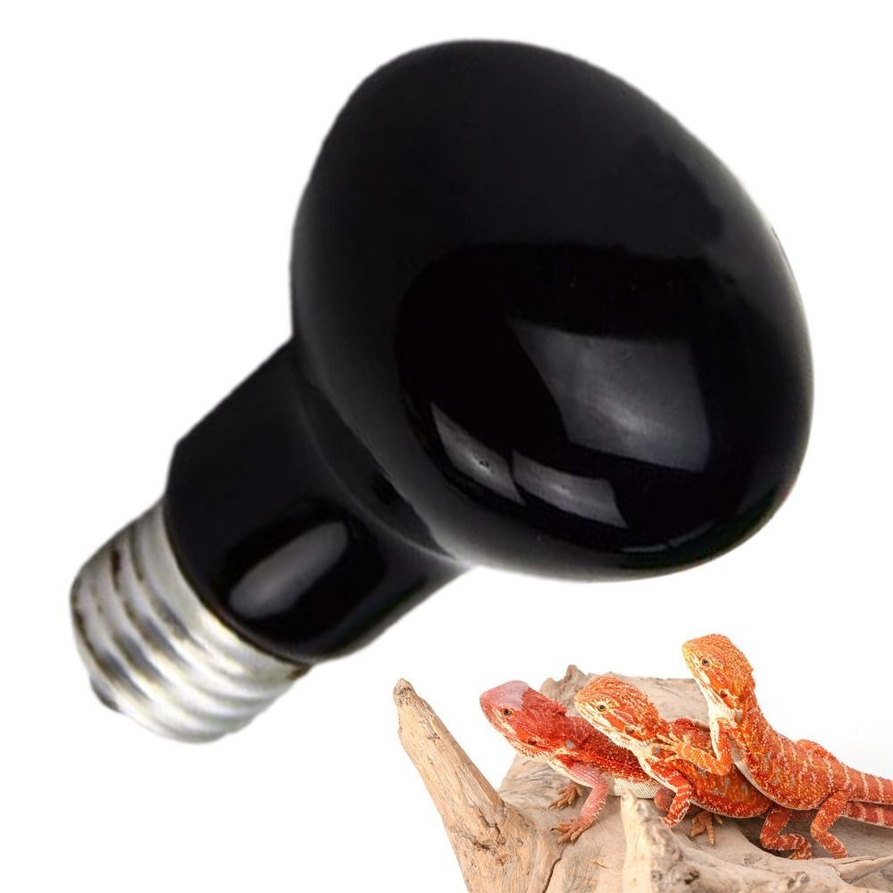 Infrared Led Pet Heating Lamp  - Ceramic Heat Emitter avaliação e preço