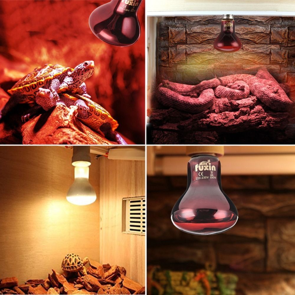 Infrared Led Pet Heating Lamp  - Ceramic Heat Emitter avaliação e preço