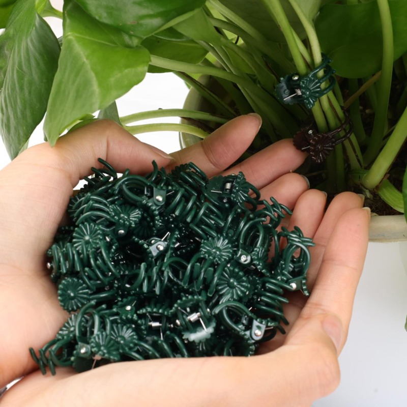 Wholesale Mini Plant Support C - Vine Climbing Plastic avaliação e preço
