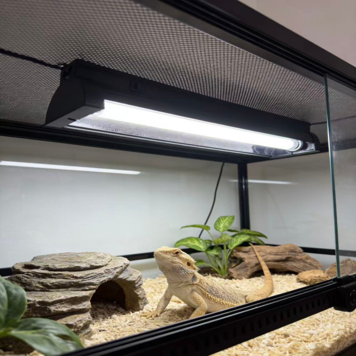 T5 UVB Reptile Light Fixture K - Calcium Powder Reptile avaliação e preço