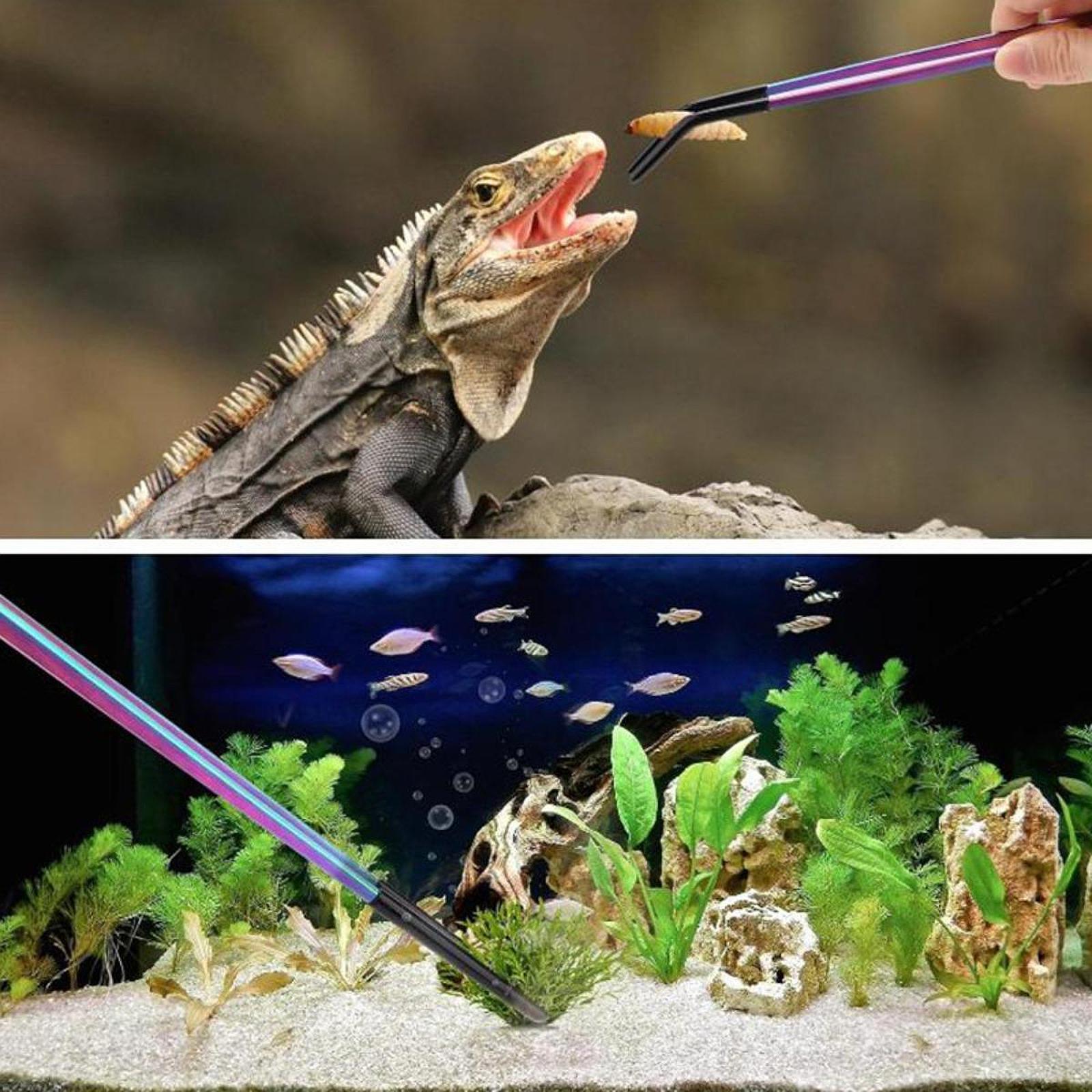 Aquarium Tweezers Reptile Feed - Feeding Tong Stainless avaliação e preço