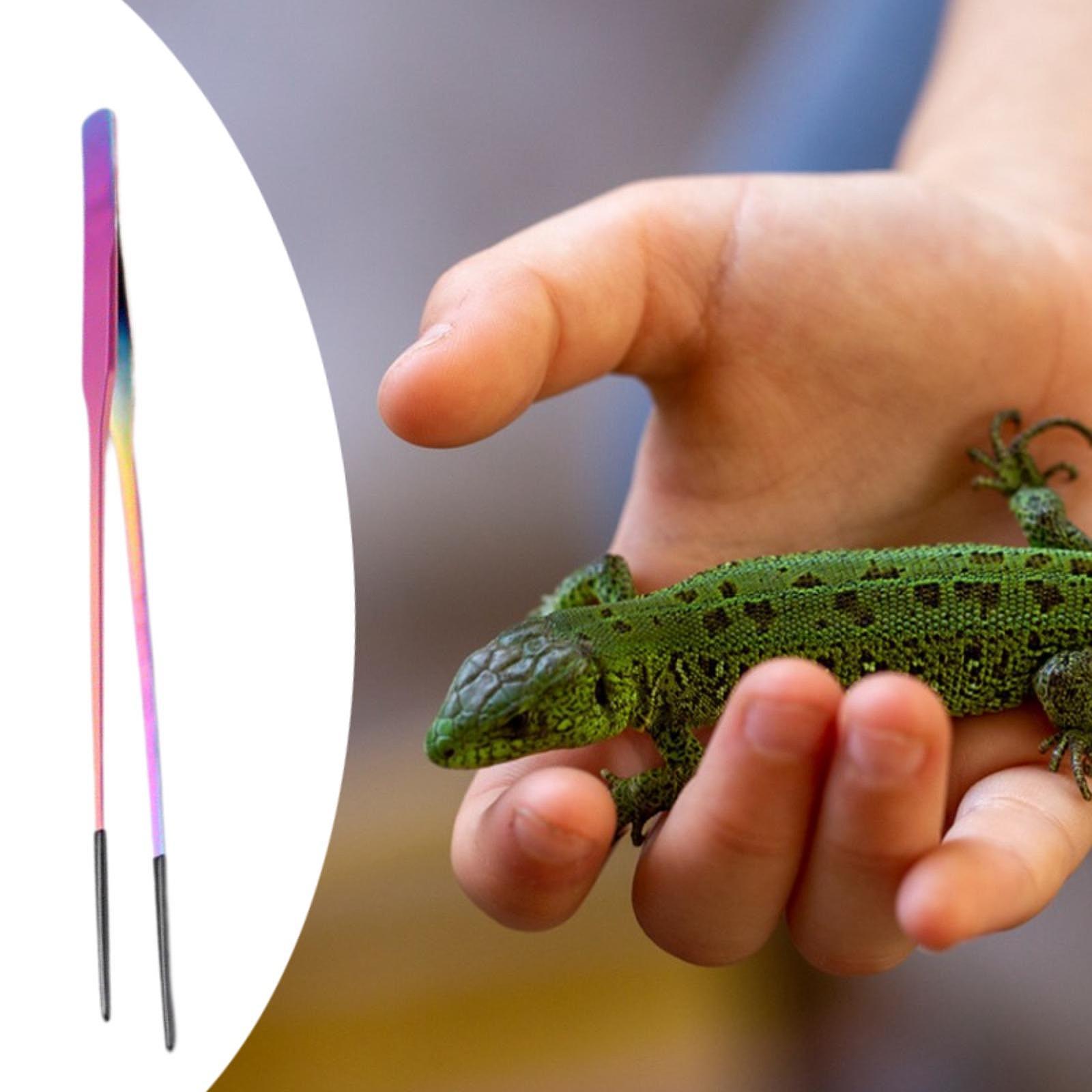 Aquarium Tweezers Reptile Feed - Feeding Tong Stainless avaliação e preço