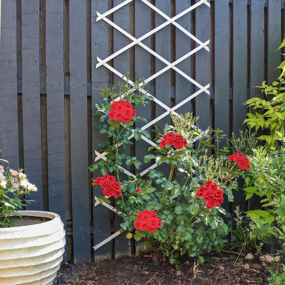 Expandable Garden Trellis 70 x - Vine Climbing Plastic avaliação e preço