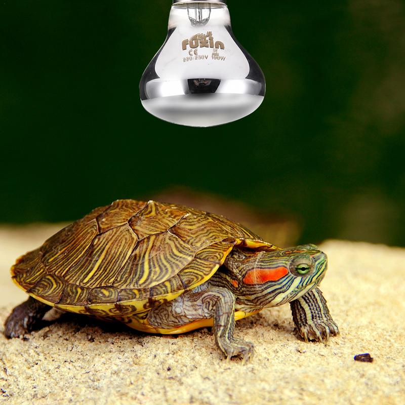 Pet Heating Lamp E27 Day Night - Ceramic Heat Emitter avaliação e preço