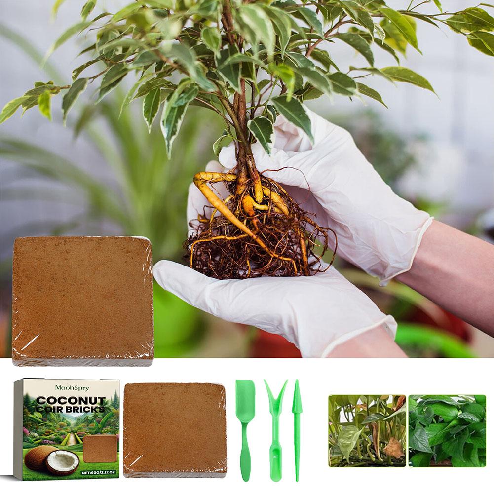 Reptile Coconut Soil Coir Pres - Substrate Coconut Fiber avaliação e preço
