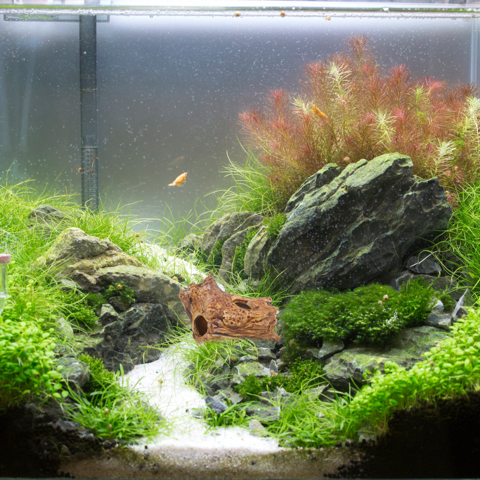 Premium Ceramic Aquarium Hides - Hide Cave Ceramic avaliação e preço