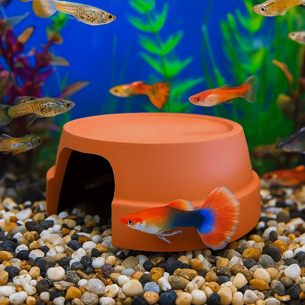 Multifunctional Ceramics Repti - Hide Cave Ceramic avaliação e preço