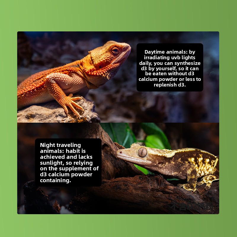 Reptizoo Reptile Calcium Powde - Vitamin D3 Reptile avaliação e preço