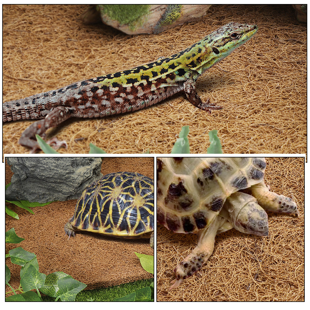 Reptile Carpet Natural Coconut - Substrate Coconut Fiber avaliação e preço