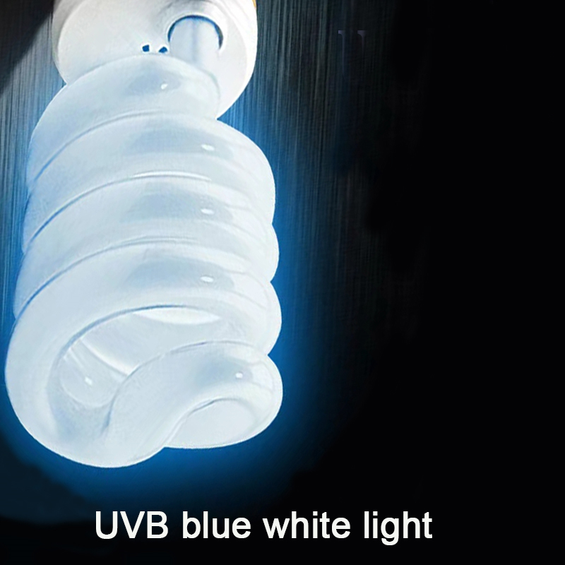 E27 13W/26W Reptile Uvb Lamp   - Calcium Powder Reptile avaliação e preço