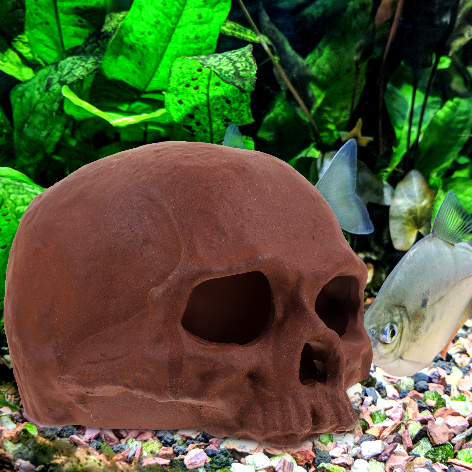 Ceramic Fish Cave Shrimp Hide  - Hide Cave Ceramic avaliação e preço