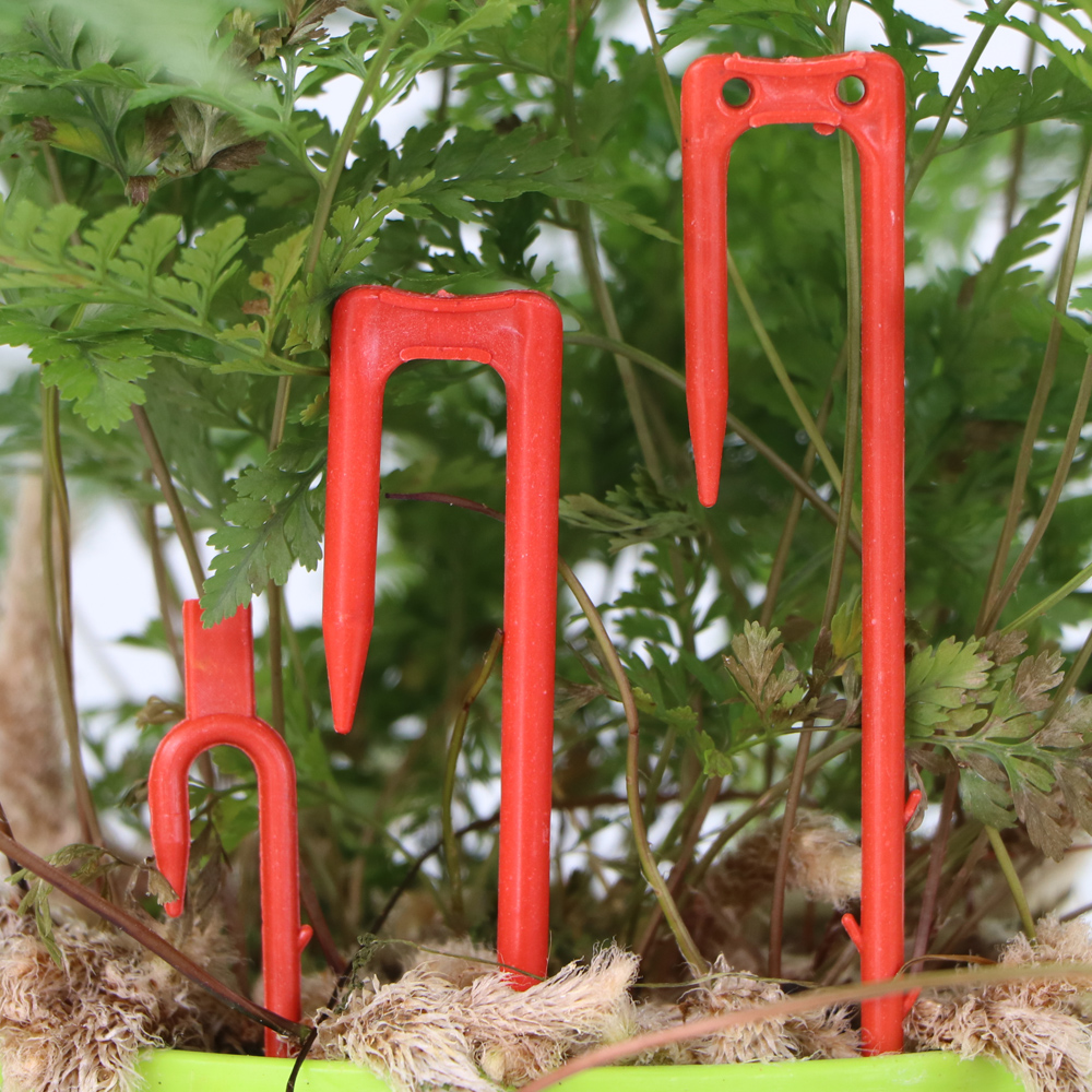 20-50PCS Strawberry Planting F - Vine Climbing Plastic avaliação e preço