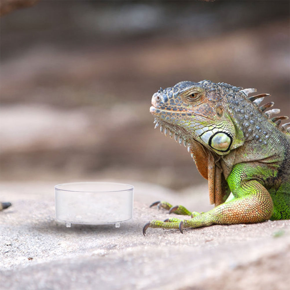 10Pcs Acrylic Reptile Food Dis - Water Dish Reptile avaliação e preço