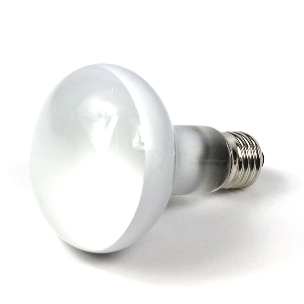 Lizard Heater Temperature Cont - Basking Bulb Halogen avaliação e preço