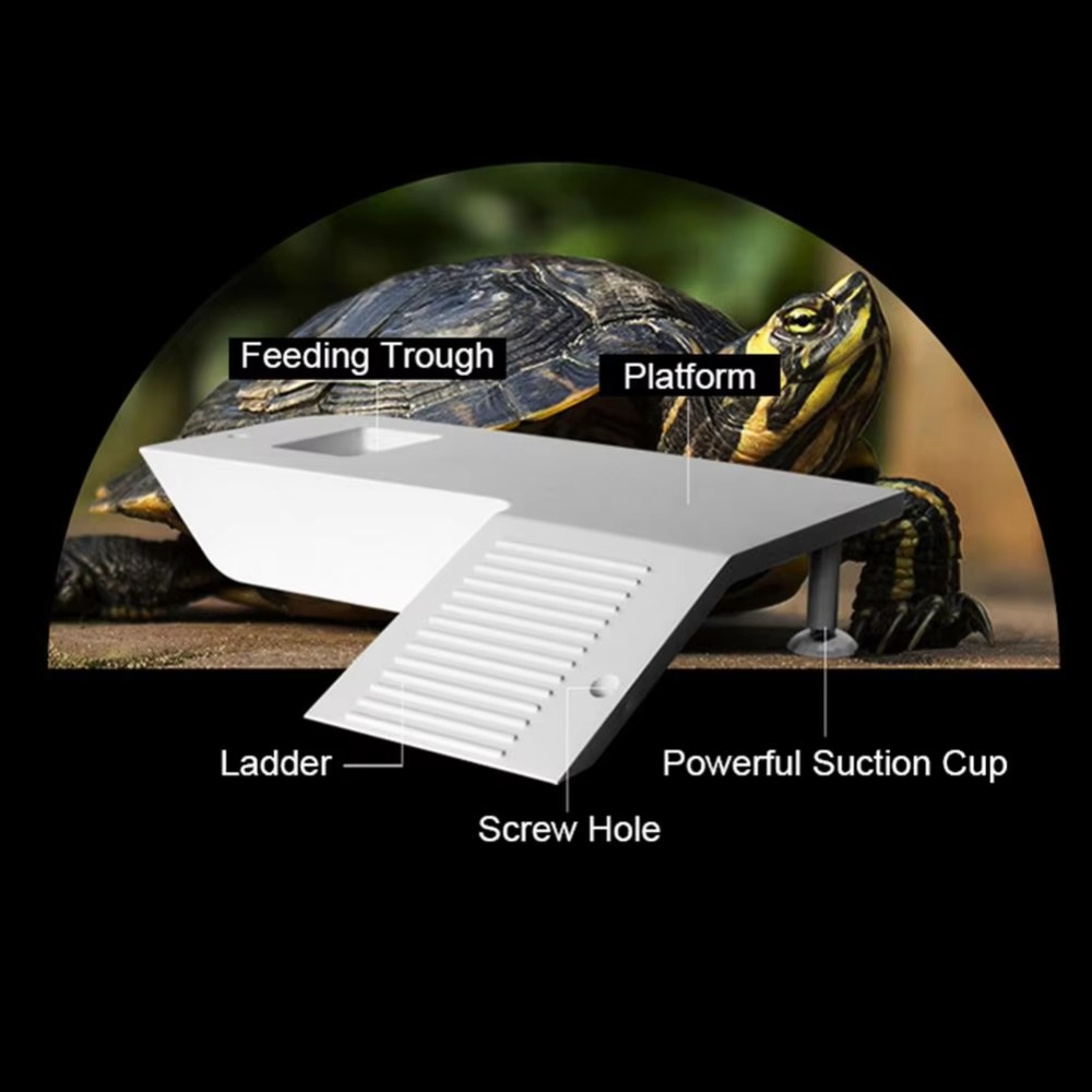 Water Land Slope Box Feeding C - Water Dish Reptile avaliação e preço