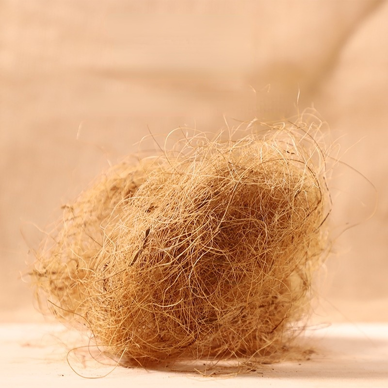 100g Finch Coconut Fiber Loose - Substrate Coconut Fiber avaliação e preço