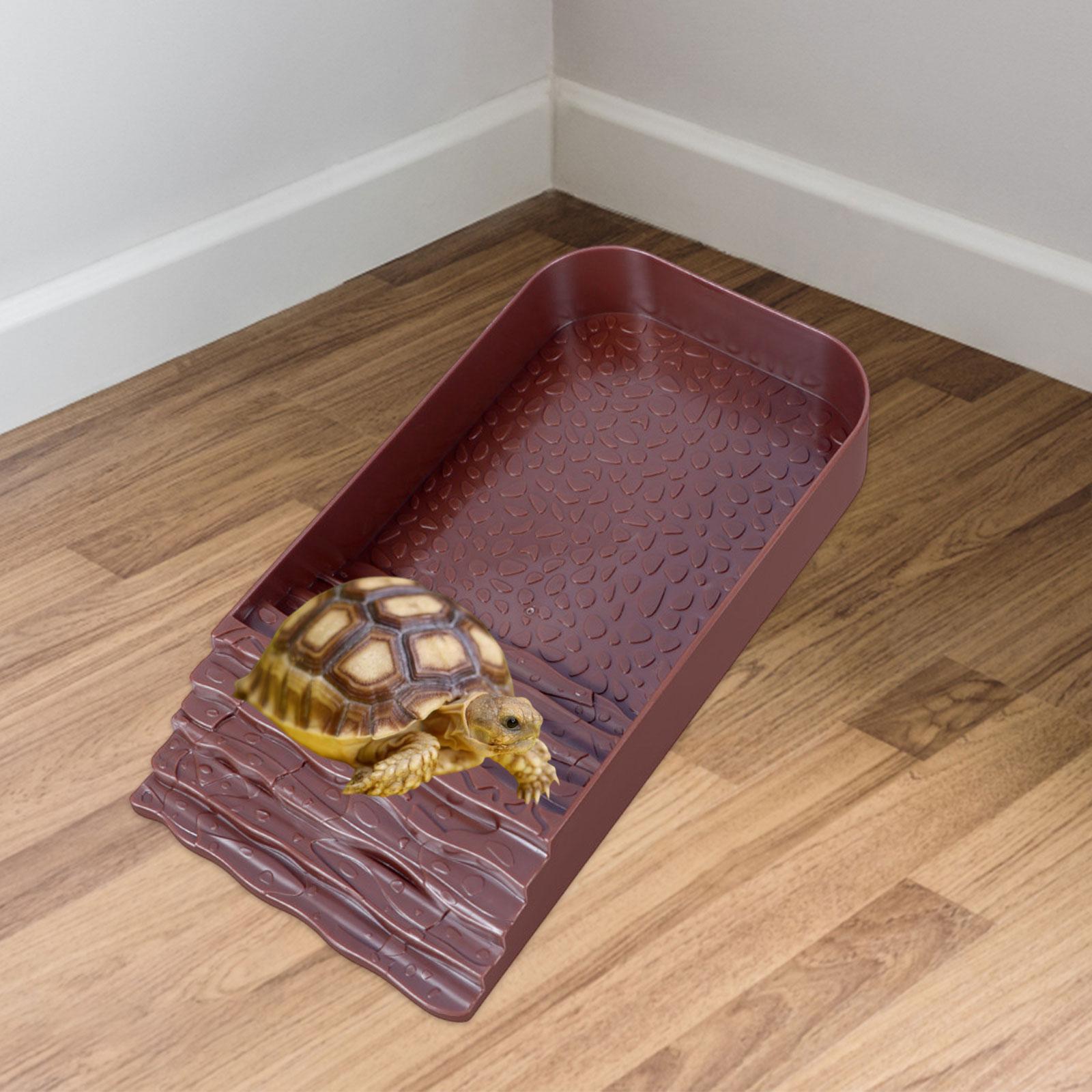 Reptile Water Bowl Accessories - Water Dish Reptile avaliação e preço