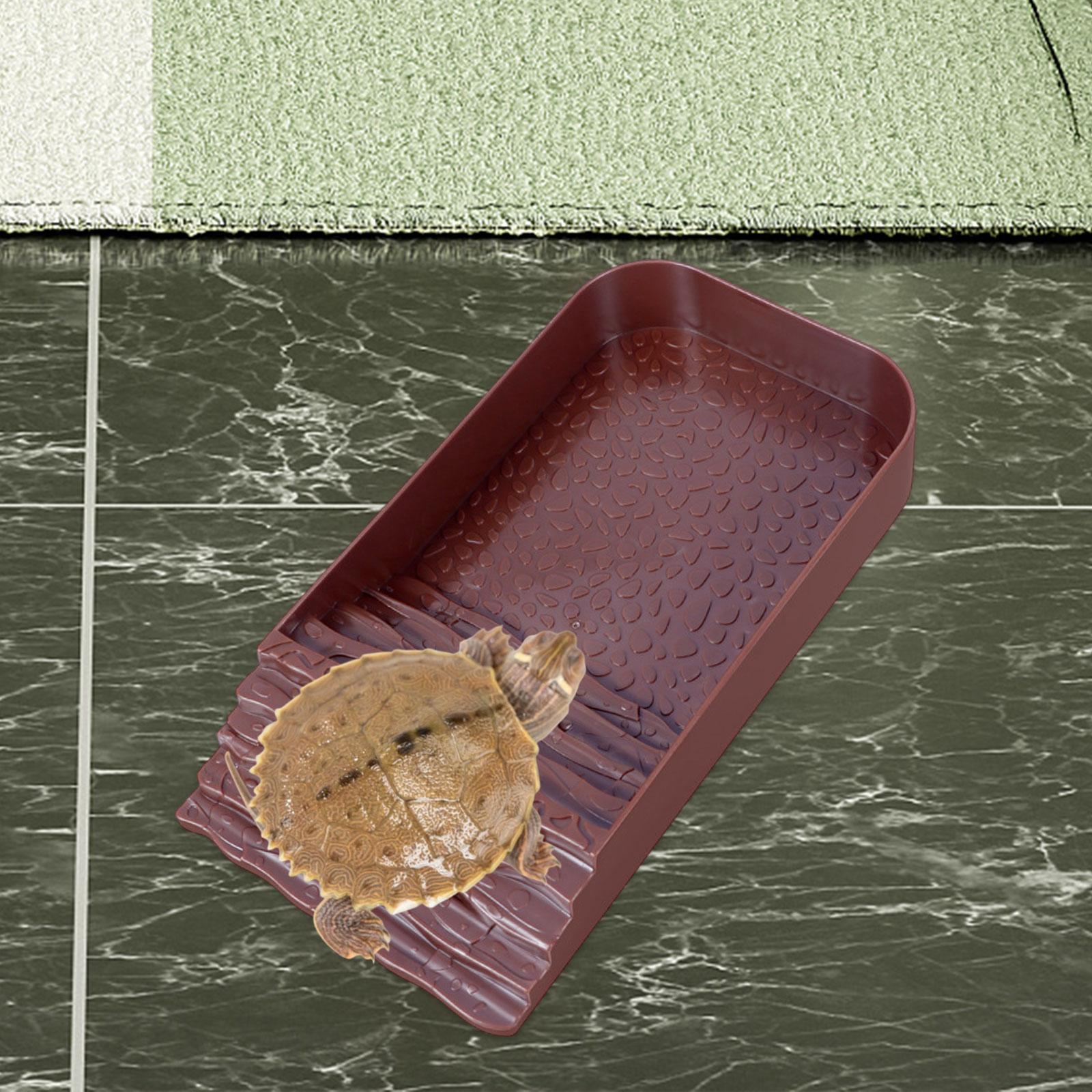 Reptile Water Bowl Accessories - Water Dish Reptile avaliação e preço