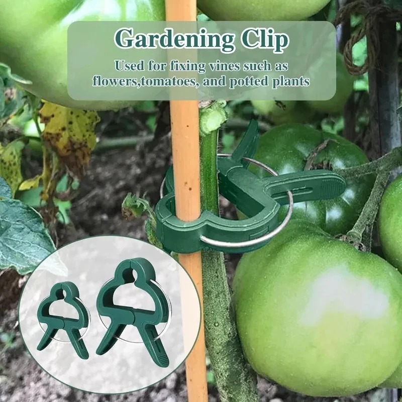 50 Reusable Plant Fixed Clips, - Vine Climbing Plastic avaliação e preço