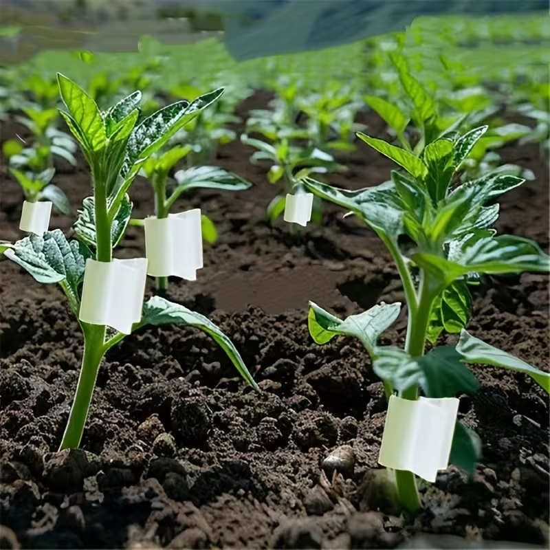 50pcs Agriculture Grafting Cli - Vine Climbing Plastic avaliação e preço