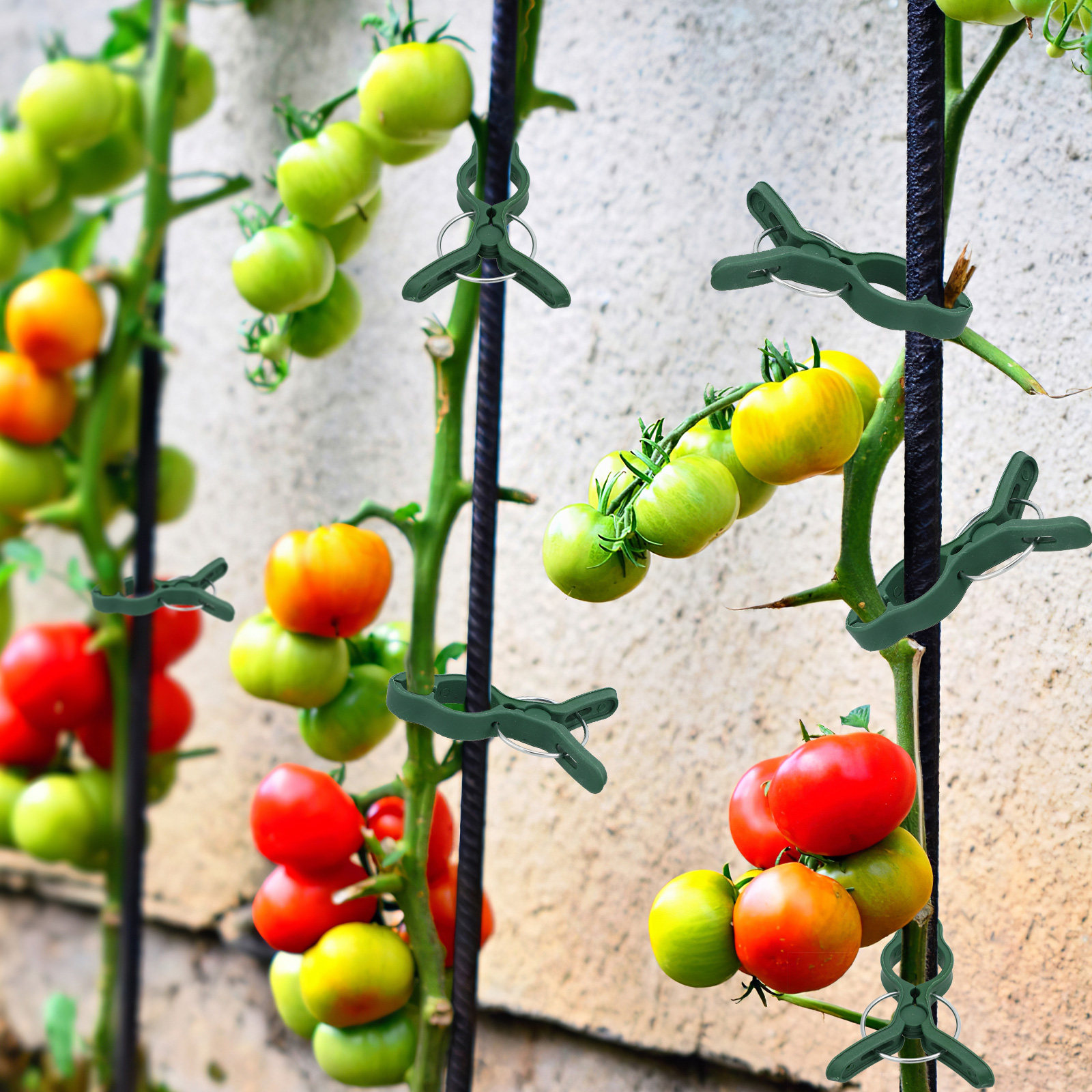 50Pcs Plastic Garden Plant Cli - Vine Climbing Plastic avaliação e preço