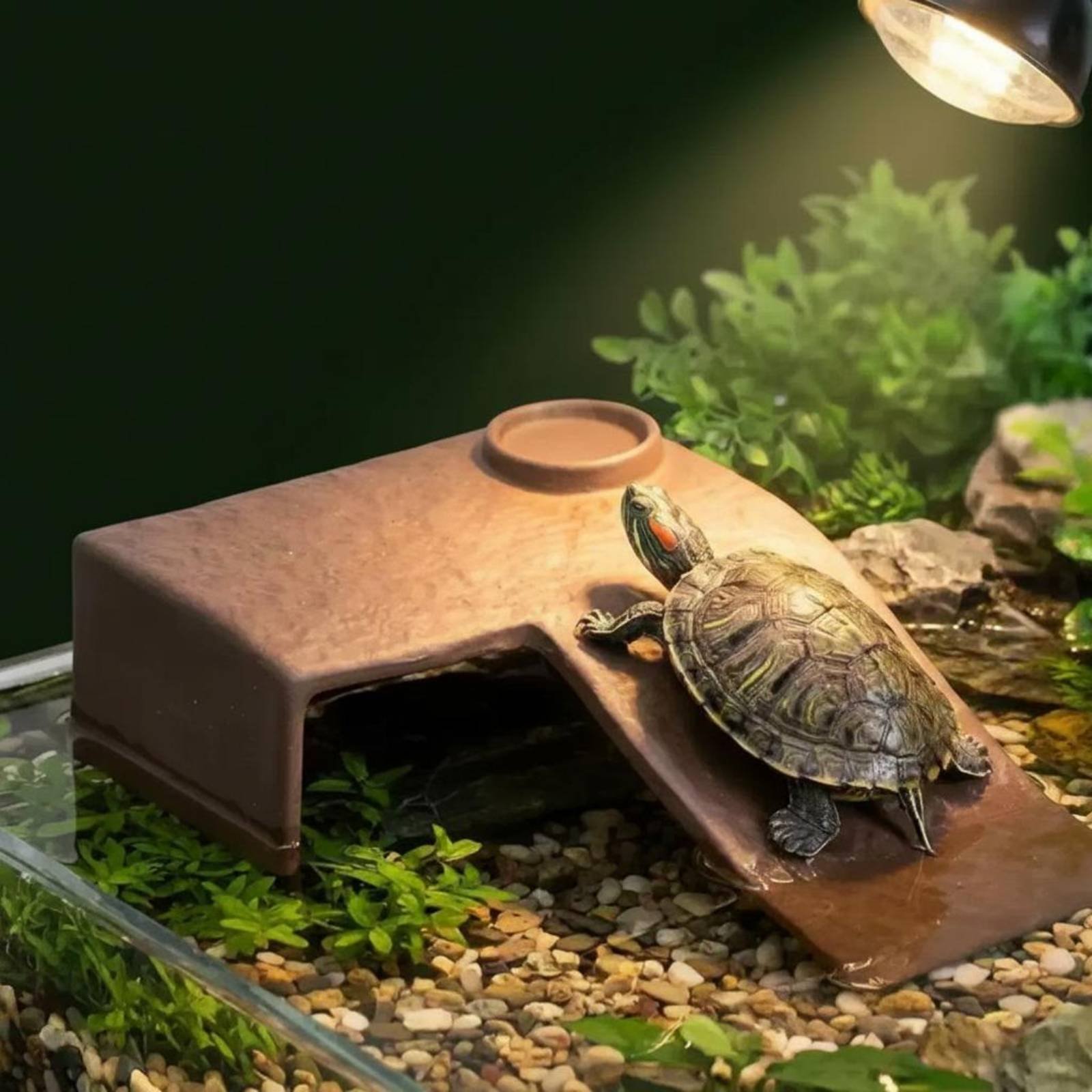 2 Pieces Turtle Basking Dock E - Hide Cave Ceramic avaliação e preço