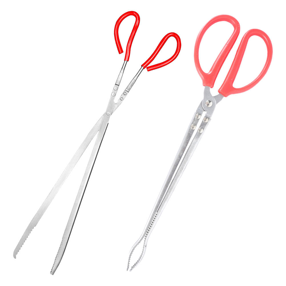 2Pcs Stainless Steel Snake Ton - Feeding Tong Stainless avaliação e preço